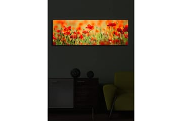 Canvasbilde Dekorativ LED-belysning - Flerfarget - Interiør - Maleri & posters - Lerretsbilder