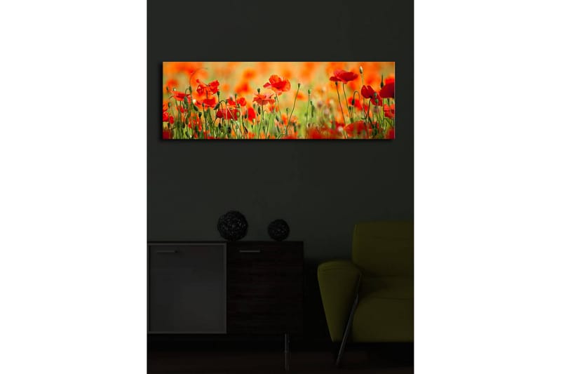 Canvasbilde Dekorativ LED-belysning - Flerfarget - Interiør - Maleri & posters - Lerretsbilder