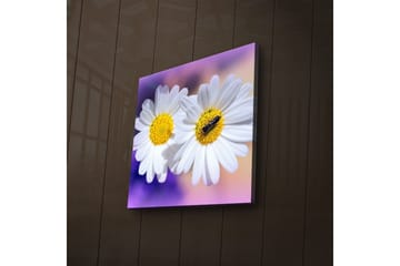 Canvasbilde Dekorativ LED-belysning - Flerfarget - Interiør - Maleri & posters - Lerretsbilder