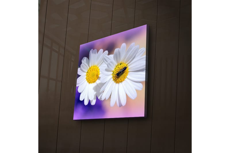 Canvasbilde Dekorativ LED-belysning - Flerfarget - Interiør - Maleri & posters - Lerretsbilder