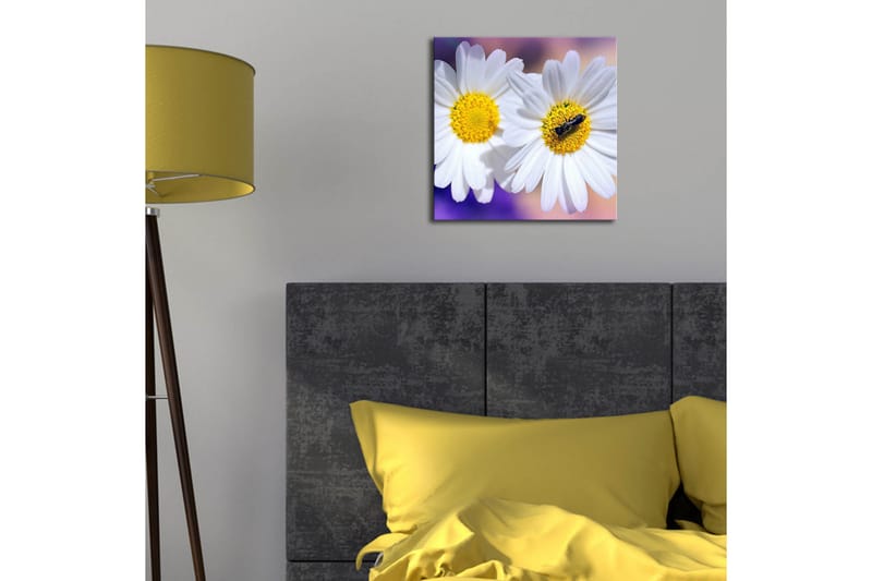 Canvasbilde Dekorativ LED-belysning - Flerfarget - Interiør - Maleri & posters - Lerretsbilder