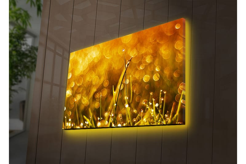 Canvasbilde Dekorativ LED-belysning - Flerfarget - Interiør - Maleri & posters - Lerretsbilder