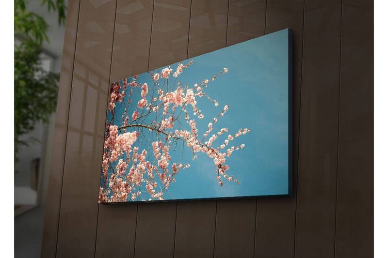 Canvasbilde Dekorativ LED-belysning - Flerfarget - Interiør - Maleri & posters - Lerretsbilder