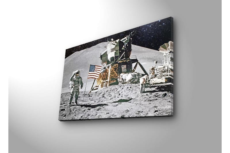 Canvasbilde Dekorativ LED-belysning - Flerfarget - Interiør - Maleri & posters - Lerretsbilder