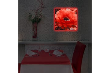 Canvasbilde Dekorativ LED-belysning - Flerfarget - Interiør - Maleri & posters - Lerretsbilder