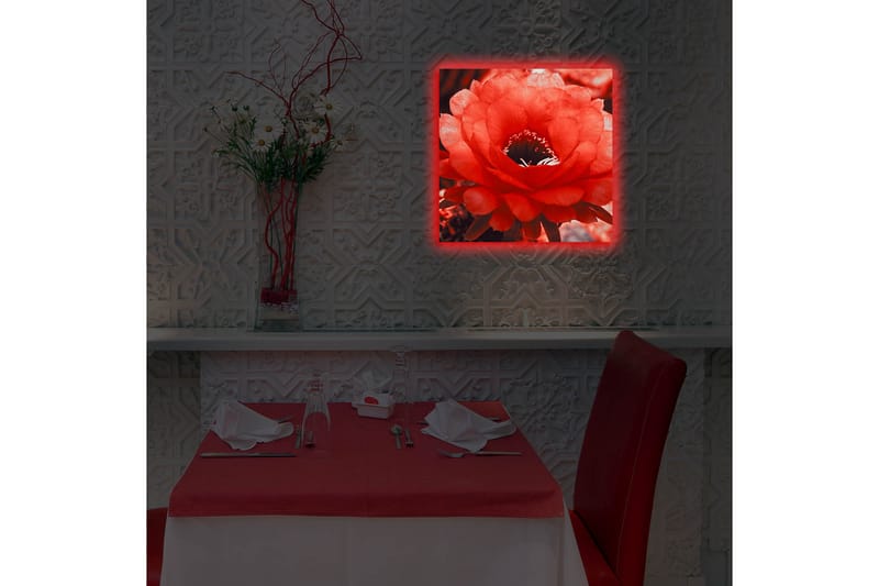 Canvasbilde Dekorativ LED-belysning - Flerfarget - Interiør - Maleri & posters - Lerretsbilder