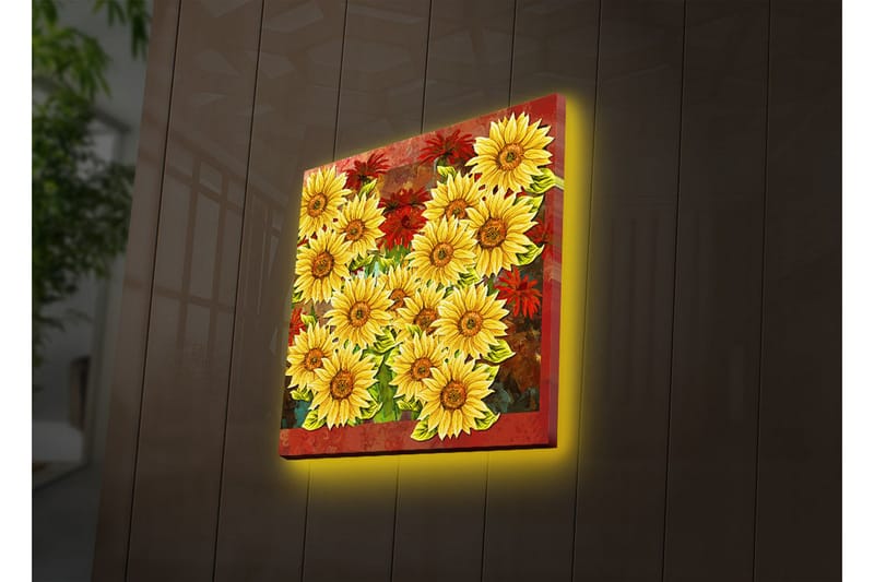 Canvasbilde Dekorativ LED-belysning - Flerfarget - Interiør - Maleri & posters - Lerretsbilder