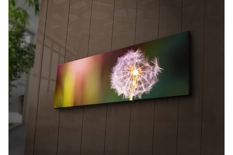 Canvasbilde Dekorativ LED-belysning - Flerfarget - Interiør - Maleri & posters - Lerretsbilder