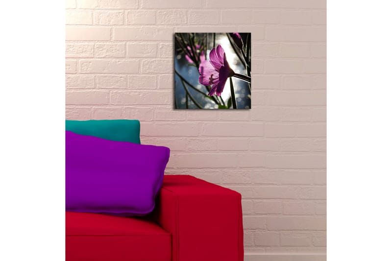 Canvasbilde Dekorativ LED-belysning - Flerfarget - Interiør - Maleri & posters - Lerretsbilder