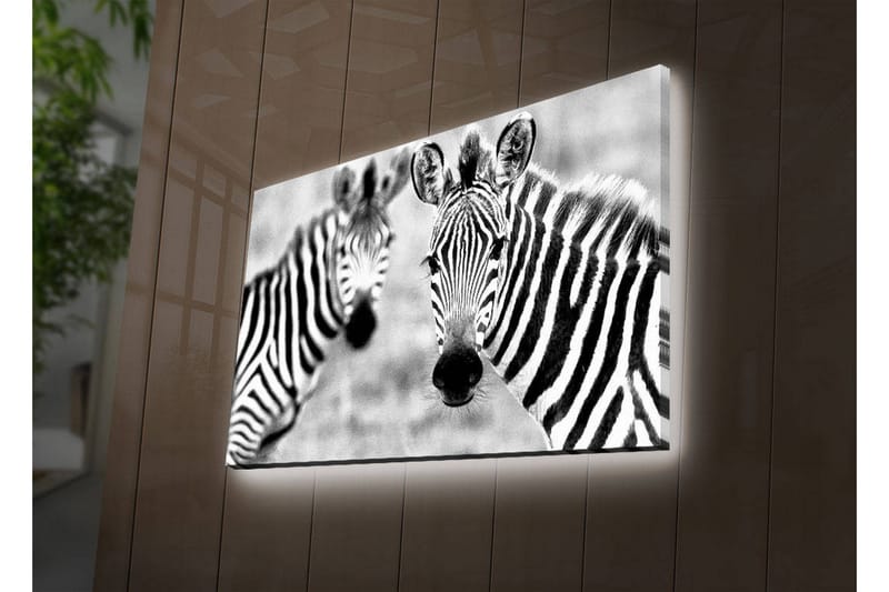 Canvasbilde Dekorativ LED-belysning - Flerfarget - Interiør - Maleri & posters - Lerretsbilder