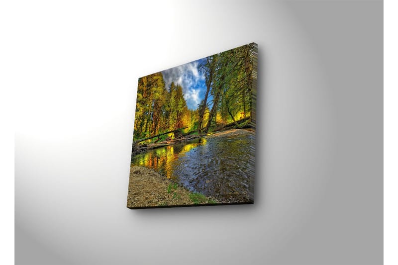 Canvasbilde Dekorativ LED-belysning - Flerfarget - Interiør - Maleri & posters - Lerretsbilder