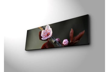 Canvasbilde Dekorativ LED-belysning - Flerfarget - Interiør - Maleri & posters - Lerretsbilder