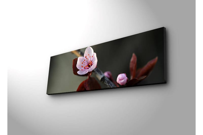 Canvasbilde Dekorativ LED-belysning - Flerfarget - Interiør - Maleri & posters - Lerretsbilder