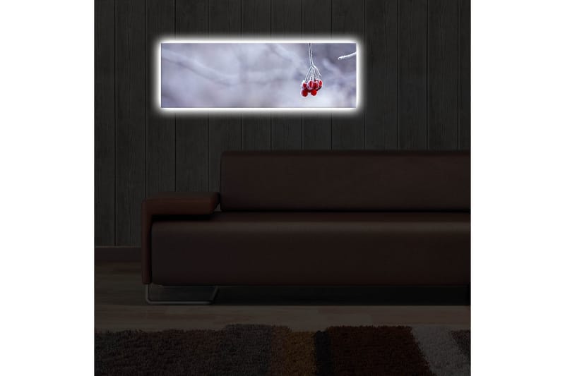 Canvasbilde Dekorativ LED-belysning - Flerfarget - Interiør - Maleri & posters - Lerretsbilder