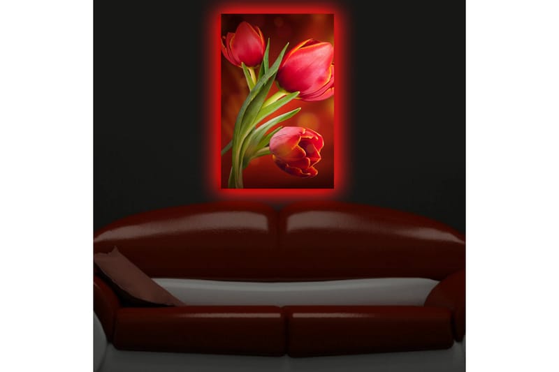 Canvasbilde Dekorativ LED-belysning - Flerfarget - Interiør - Maleri & posters - Lerretsbilder