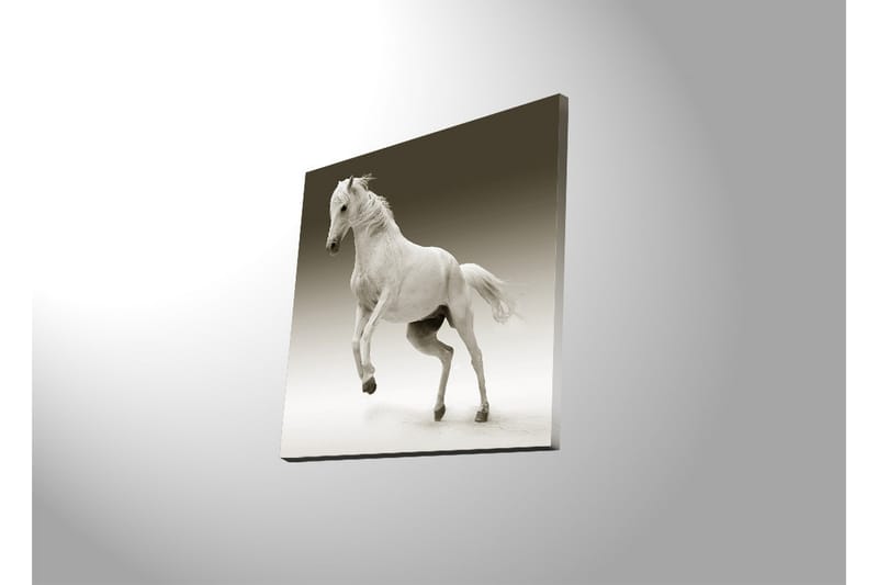 Canvasbilde Dekorativ LED-belysning - Flerfarget - Interiør - Maleri & posters - Lerretsbilder