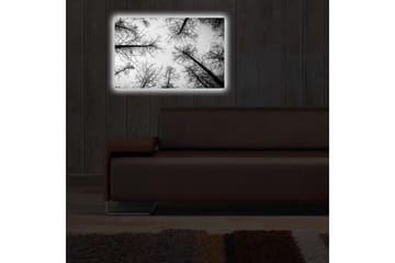 Canvasbilde Dekorativ LED-belysning - Flerfarget - Interiør - Maleri & posters - Lerretsbilder