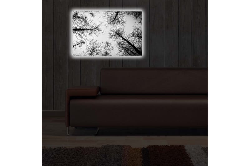 Canvasbilde Dekorativ LED-belysning - Flerfarget - Interiør - Maleri & posters - Lerretsbilder