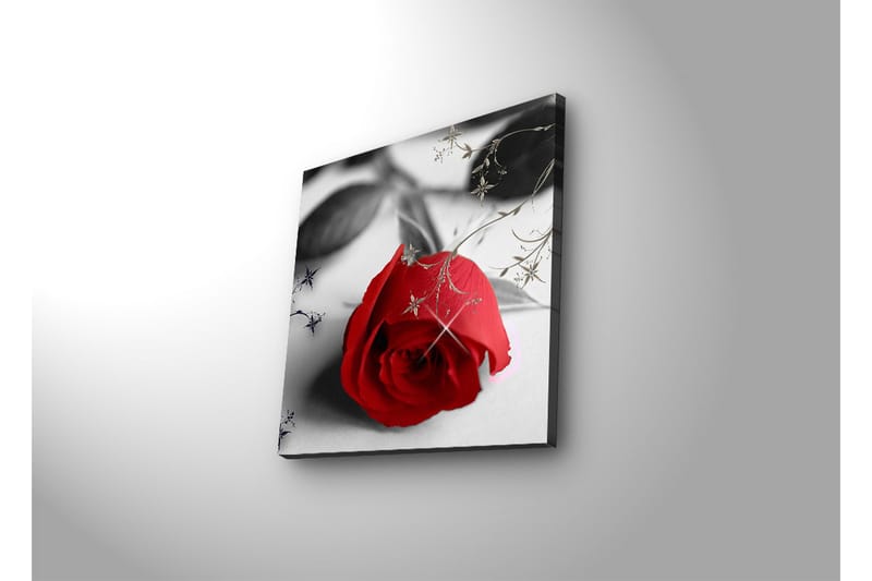 Canvasbilde Dekorativ LED-belysning - Flerfarget - Interiør - Maleri & posters - Lerretsbilder