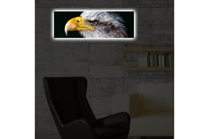 Canvasbilde Dekorativ LED-belysning - Flerfarget - Interiør - Maleri & posters - Lerretsbilder