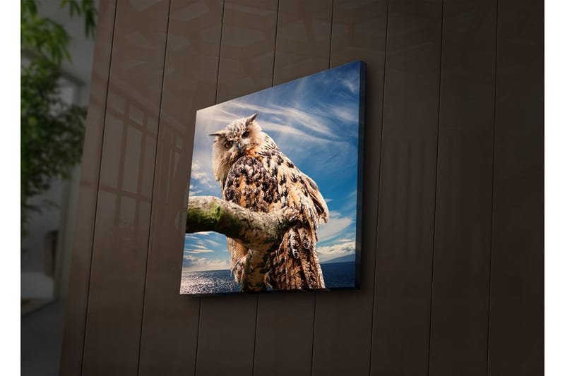 Canvasbilde Dekorativ LED-belysning - Flerfarget - Interiør - Maleri & posters - Lerretsbilder