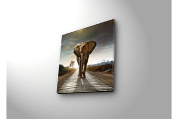 Canvasbilde Dekorativ LED-belysning - Flerfarget - Interiør - Maleri & posters - Lerretsbilder