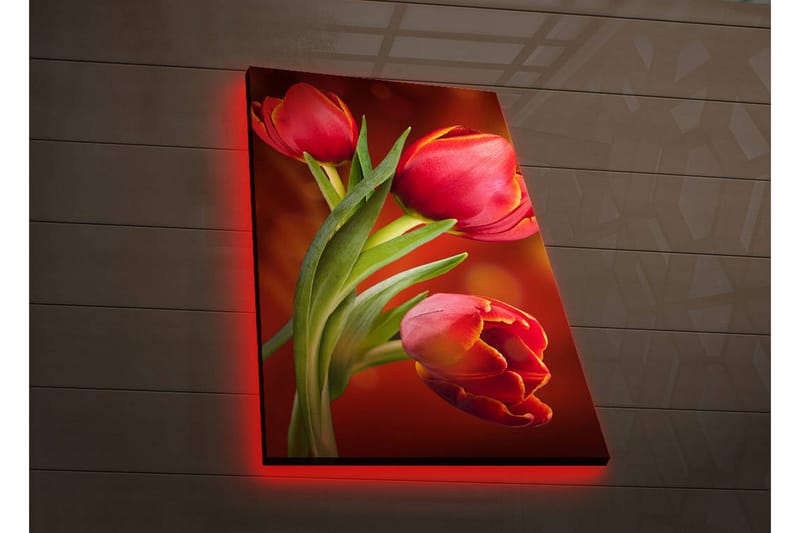 Canvasbilde Dekorativ LED-belysning - Flerfarget - Interiør - Maleri & posters - Lerretsbilder