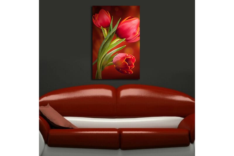 Canvasbilde Dekorativ LED-belysning - Flerfarget - Interiør - Maleri & posters - Lerretsbilder