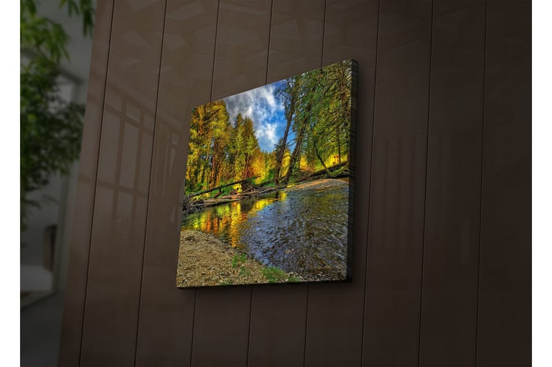 Canvasbilde Dekorativ LED-belysning - Flerfarget - Interiør - Maleri & posters - Lerretsbilder