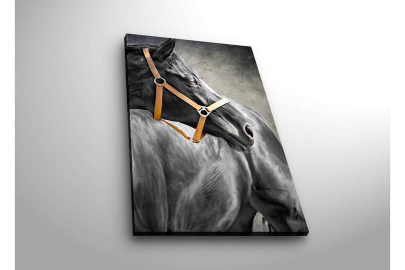 Canvasbilde Dekorativ LED-belysning - Flerfarget - Interiør - Maleri & posters - Lerretsbilder