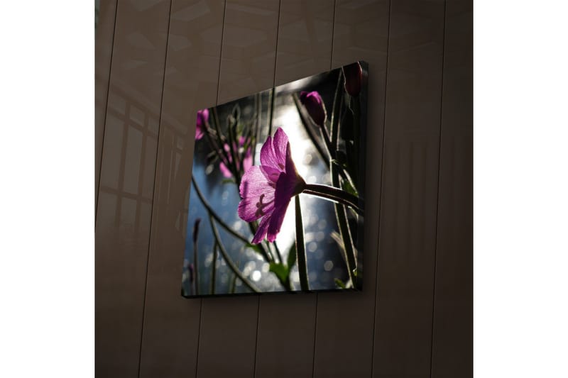 Canvasbilde Dekorativ LED-belysning - Flerfarget - Interiør - Maleri & posters - Lerretsbilder