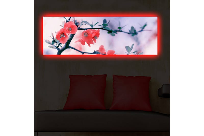 Canvasbilde Dekorativ LED-belysning - Flerfarget - Interiør - Maleri & posters - Lerretsbilder
