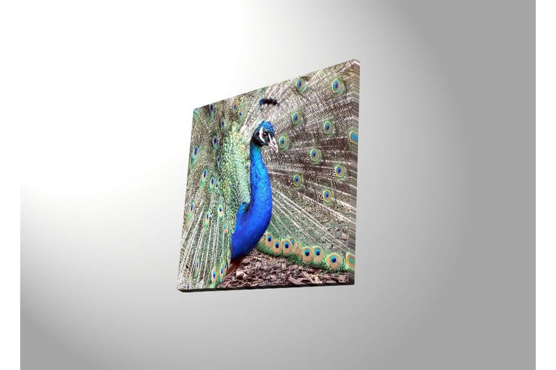 Canvasbilde Dekorativ LED-belysning - Flerfarget - Interiør - Maleri & posters - Lerretsbilder