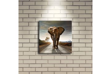 Canvasbilde Dekorativ LED-belysning - Flerfarget - Interiør - Maleri & posters - Lerretsbilder