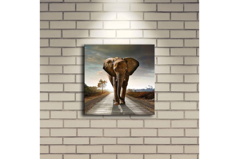 Canvasbilde Dekorativ LED-belysning - Flerfarget - Interiør - Maleri & posters - Lerretsbilder