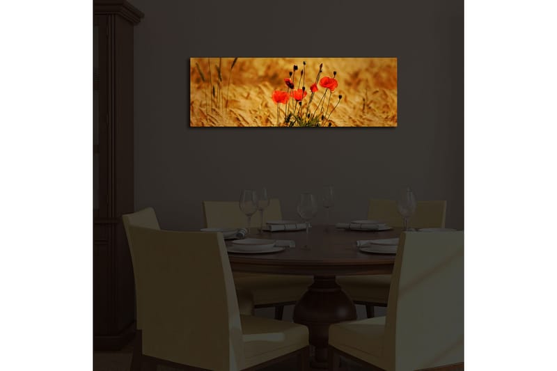 Canvasbilde Dekorativ LED-belysning - Flerfarget - Interiør - Maleri & posters - Lerretsbilder