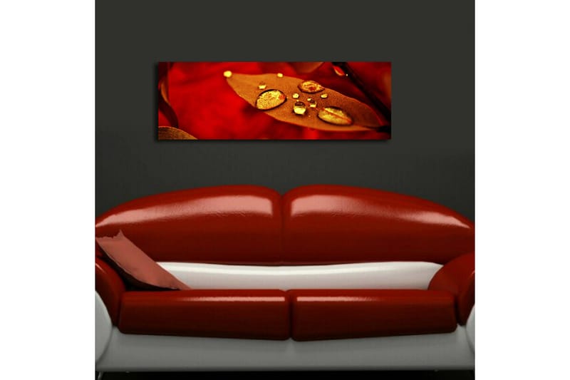 Canvasbilde Dekorativ LED-belysning - Flerfarget - Interiør - Maleri & posters - Lerretsbilder