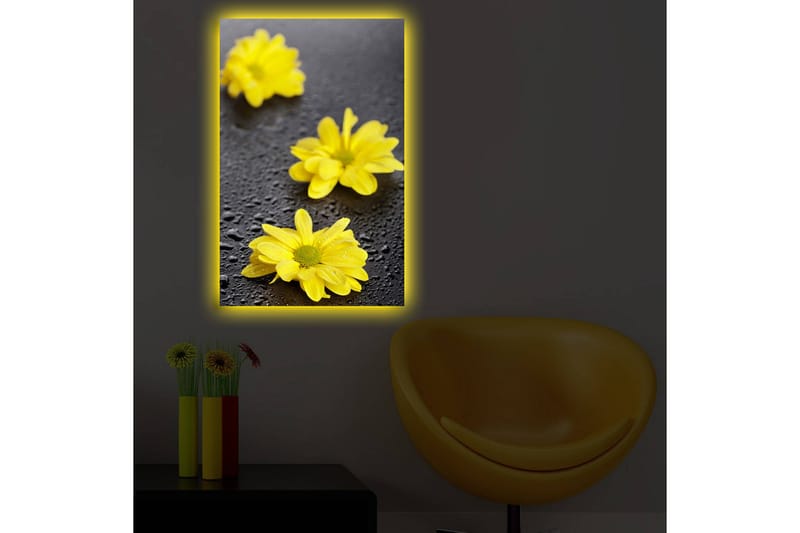 Canvasbilde Dekorativ LED-belysning - Flerfarget - Interiør - Maleri & posters - Lerretsbilder