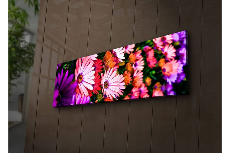 Canvasbilde Dekorativ LED-belysning - Flerfarget - Interiør - Maleri & posters - Lerretsbilder