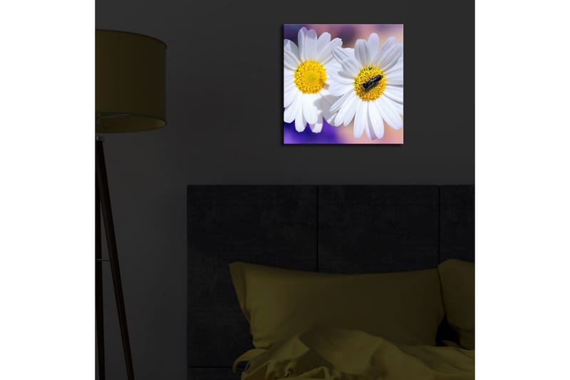 Canvasbilde Dekorativ LED-belysning - Flerfarget - Interiør - Maleri & posters - Lerretsbilder