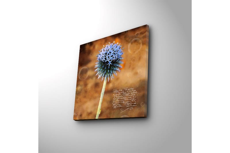 Canvasbilde Dekorativ LED-belysning - Flerfarget - Interiør - Maleri & posters - Lerretsbilder