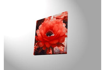 Canvasbilde Dekorativ LED-belysning - Flerfarget - Interiør - Maleri & posters - Lerretsbilder