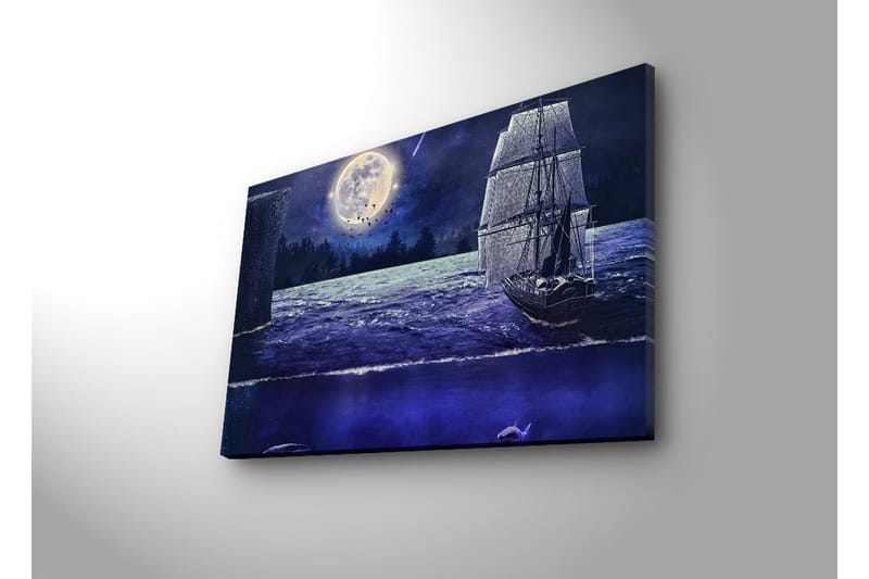 Canvasbilde Dekorativ LED-belysning - Flerfarget - Interiør - Maleri & posters - Lerretsbilder