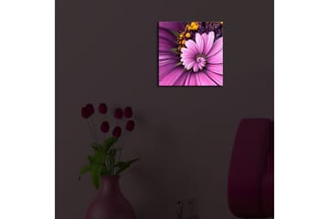 Canvasbilde Dekorativ LED-belysning - Flerfarget - Interiør - Maleri & posters - Lerretsbilder