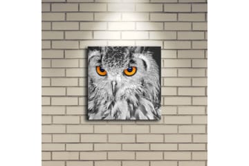 Canvasbilde Dekorativ LED-belysning - Flerfarget - Interiør - Maleri & posters - Lerretsbilder