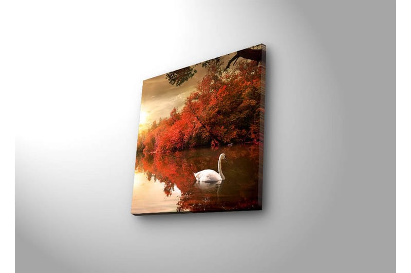 Canvasbilde Dekorativ LED-belysning - Flerfarget - Interiør - Maleri & posters - Lerretsbilder