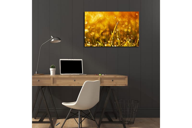 Canvasbilde Dekorativ LED-belysning - Flerfarget - Interiør - Maleri & posters - Lerretsbilder
