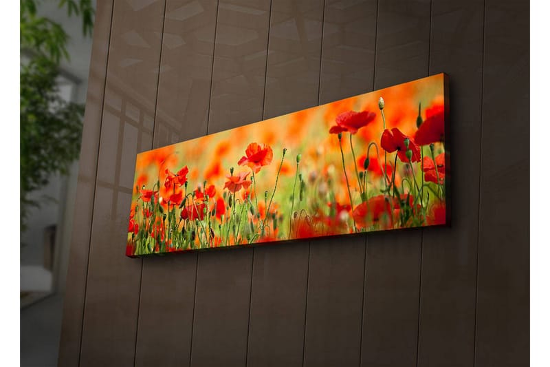 Canvasbilde Dekorativ LED-belysning - Flerfarget - Interiør - Maleri & posters - Lerretsbilder