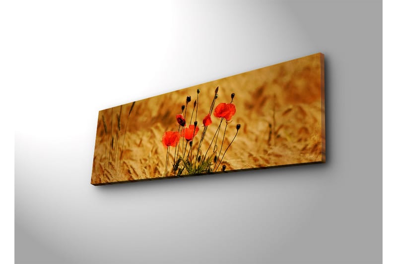 Canvasbilde Dekorativ LED-belysning - Flerfarget - Interiør - Maleri & posters - Lerretsbilder