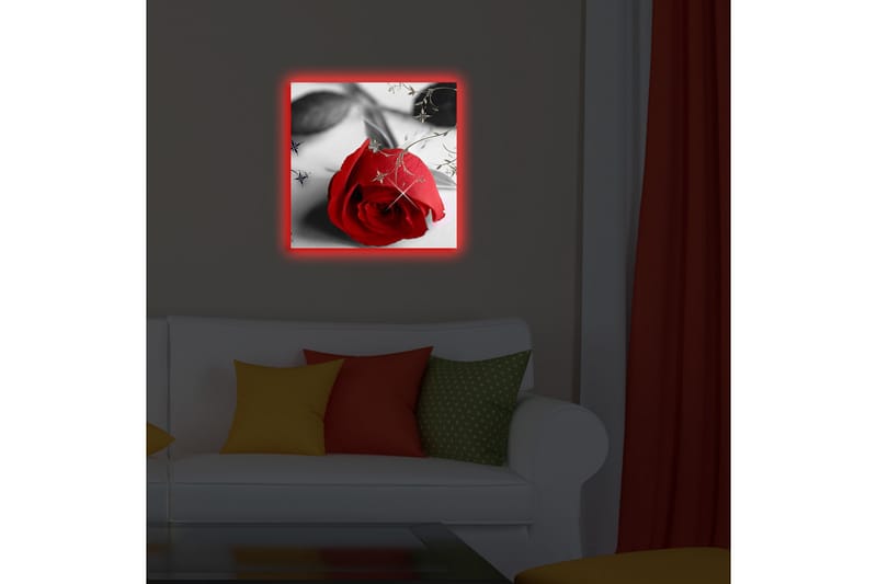 Canvasbilde Dekorativ LED-belysning - Flerfarget - Interiør - Maleri & posters - Lerretsbilder
